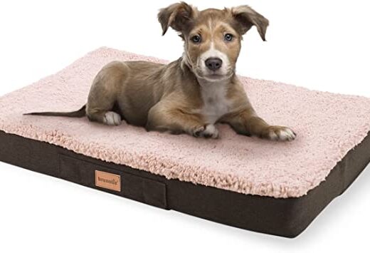 panier orthopedique pour chien